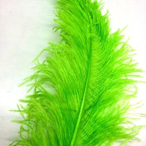 Pluma avestruz 55-60 cm
