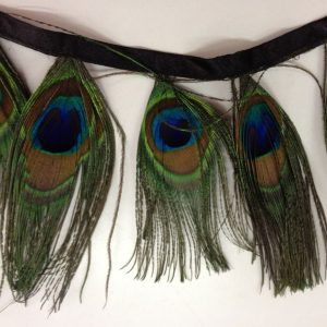 Pluma pavo real en tira