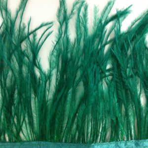 Fleco plumas ostrich