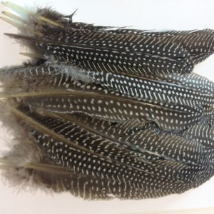 Pluma suelta 25 piezas Ref: 264.50039