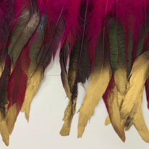 Galon Plumas Fucsia