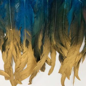 Galon Plumas Turquesa