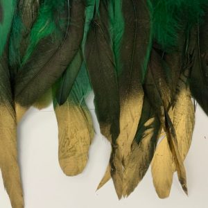Galon Plumas Verde