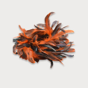 Plumas