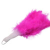 181-BT110-abanico-festivo-plumas-de-colores-FUCSIA Complemento elegante para eventos temáticos fucsia