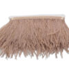18147100181-plumas-ostrich-18cm-camel