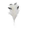 Ramillete Plumas 25cm - disponible en 12 colores - Thumbnail Image 2