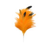 Ramillete Plumas 25cm - disponible en 12 colores - Thumbnail Image 8