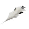 Ramillete Plumas 25cm - disponible en 12 colores - Thumbnail Image 3