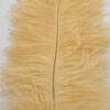 Pluma Avestruz 55-60 cm 12 unidades - Varios colores - Thumbnail Image 5