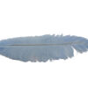 Pluma Avestruz 55-60 cm 12 unidades - Varios colores - Thumbnail Image 24