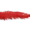 Pluma Avestruz 55-60 cm 12 unidades - Varios colores - Thumbnail Image 16