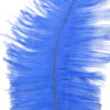 Pluma Avestruz 55-60 cm 12 unidades - Varios colores - Thumbnail Image 29