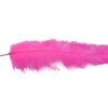 Pluma Avestruz 55-60 cm 12 unidades - Varios colores - Thumbnail Image 14