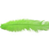 Pluma Avestruz 55-60 cm 12 unidades - Varios colores - Thumbnail Image 22