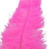 Pluma Avestruz 55-60 cm 12 unidades - Varios colores - Thumbnail Image 15