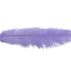 Pluma Avestruz 55-60 cm 12 unidades - Varios colores - Thumbnail Image 30