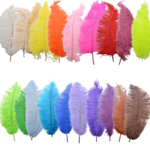 Pluma Avestruz 55-60 cm 12 unidades - Varios colores