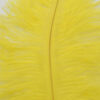 Pluma Avestruz 55-60 cm 12 unidades - Varios colores - Thumbnail Image 9