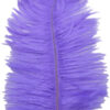 Pluma Avestruz 55-60 cm 12 unidades - Varios colores - Thumbnail Image 34