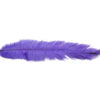 Pluma Avestruz 55-60 cm 12 unidades - Varios colores - Thumbnail Image 32