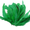 Ramillete Plumas Pequeñas (paquete 4,5gr) - varios colores - Thumbnail Image 11