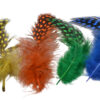 Plumas naturales moteadas de colores vivos