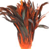 Pluma Gallo 35cm Bicolor 100gr - varios colores - Thumbnail Image 8