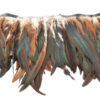 Pluma Gallo 35cm Bicolor 100gr - varios colores - Thumbnail Image 24