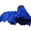 Pluma Ganso 15cm (pieza 2m) - varios colores - Thumbnail Image 18