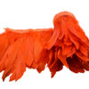 Pluma Ganso 15cm (pieza 2m) - varios colores - Thumbnail Image 9