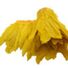 Pluma Ganso 15cm (pieza 2m) - varios colores - Thumbnail Image 3
