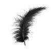 Pluma marabú decorativa de tacto suave para vestuario festivo negra