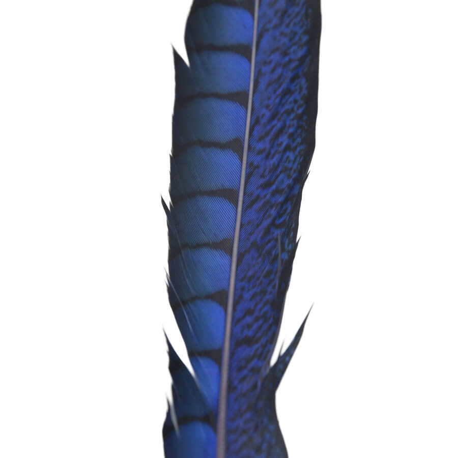 Pluma Faisán 10 unidades 60cm -varios colores - Imagen 23
