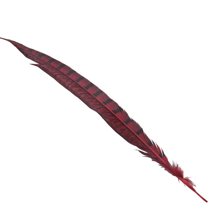 Pluma Faisán 10 unidades 60cm -varios colores - Imagen 14