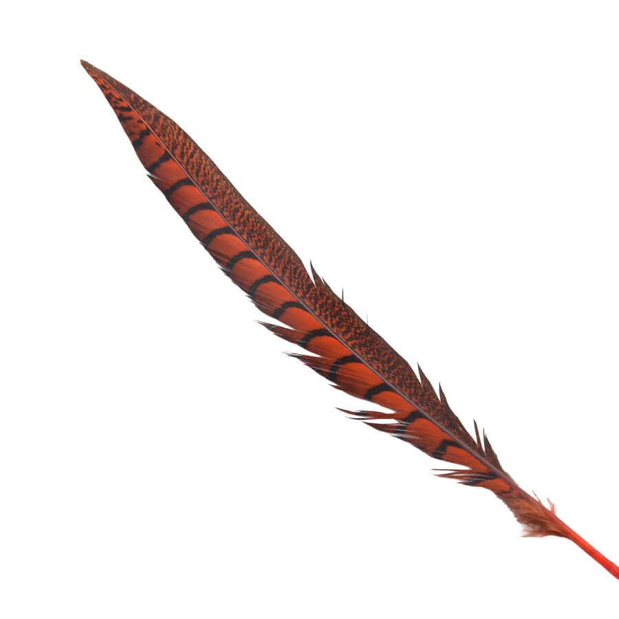 Pluma Faisán 10 unidades 60cm -varios colores - Imagen 11