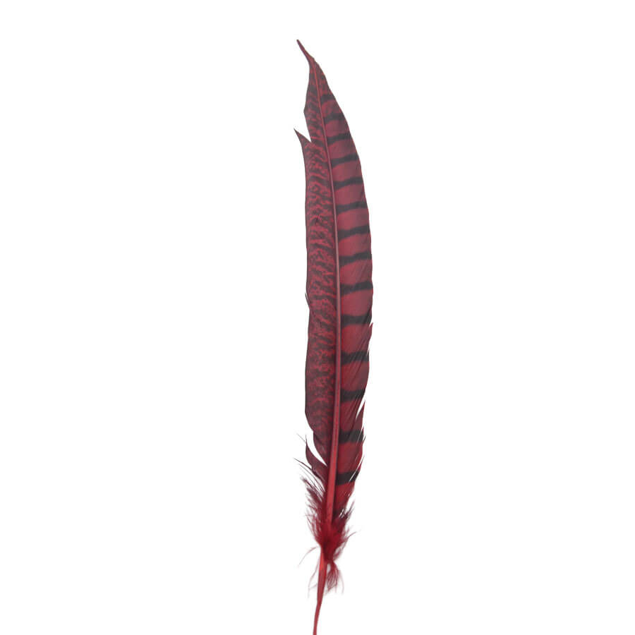 Pluma Faisán 10 unidades 60cm -varios colores - Imagen 13
