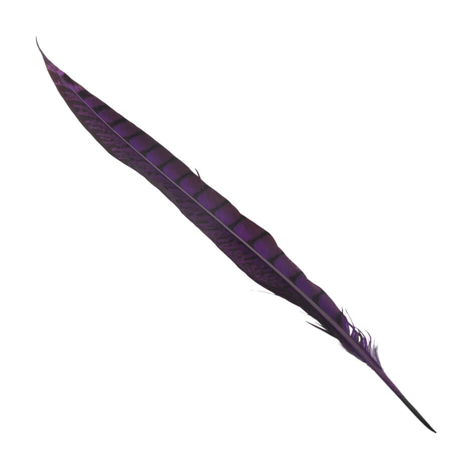 Pluma Faisán 10 unidades 60cm -varios colores - Imagen 26