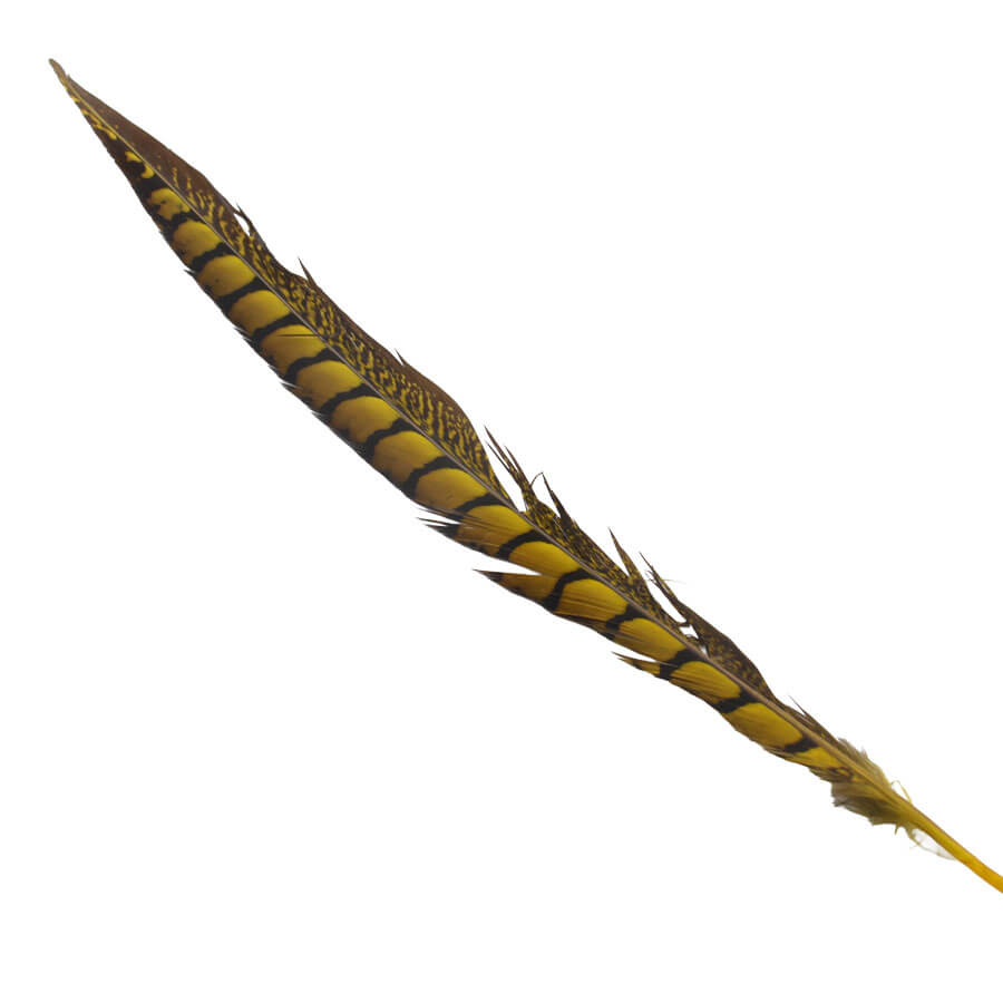 Pluma Faisán 10 unidades 60cm -varios colores - Imagen 6