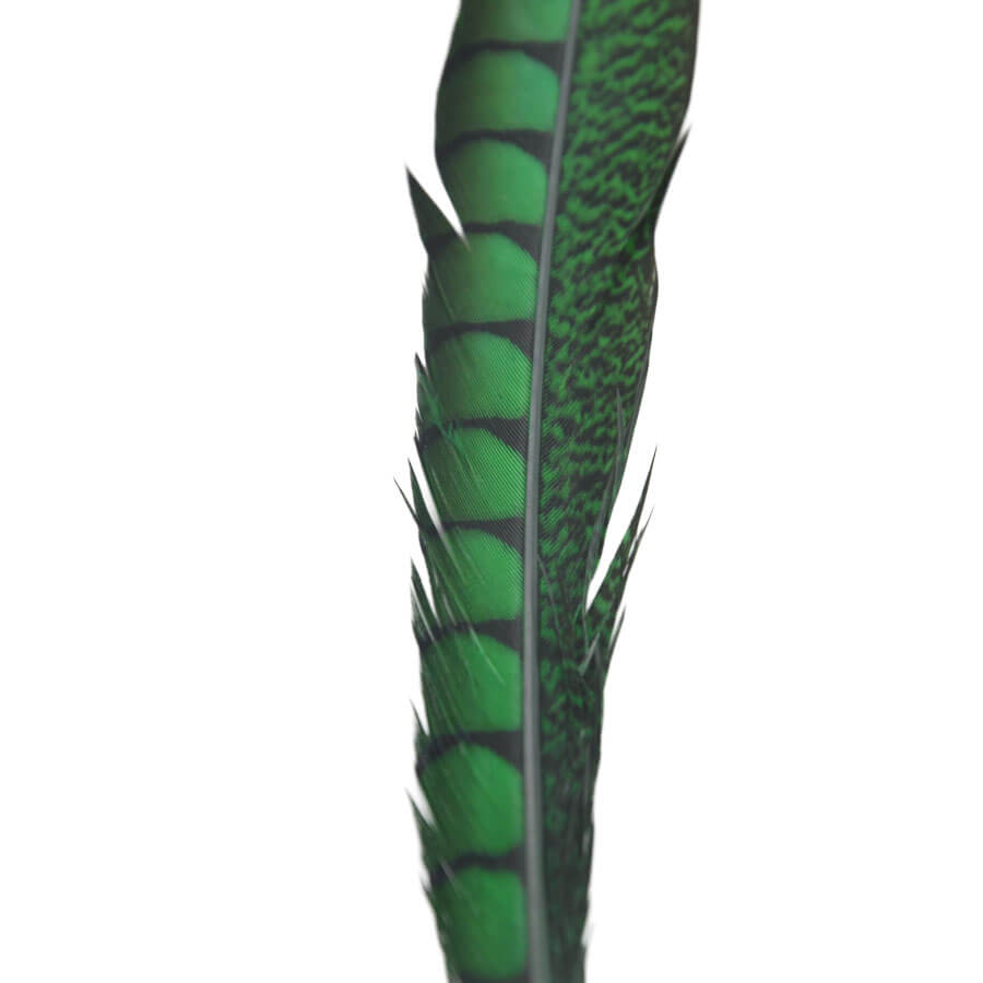Pluma Faisán 10 unidades 60cm -varios colores - Imagen 17
