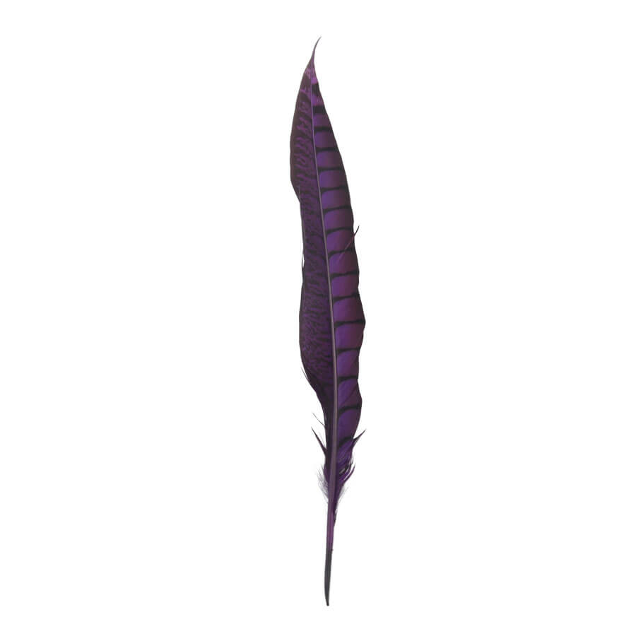 Pluma Faisán 10 unidades 60cm -varios colores - Imagen 24