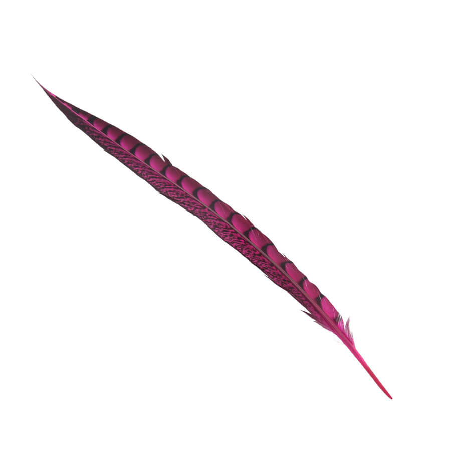 Pluma Faisán 10 unidades 60cm -varios colores - Imagen 10