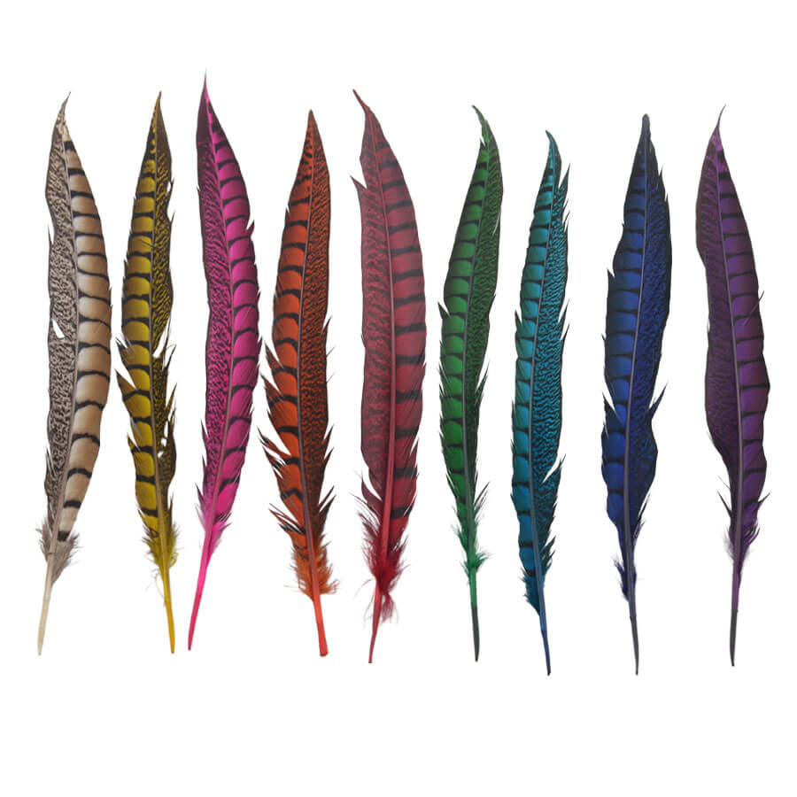Pluma Faisán 10 unidades 60cm -varios colores