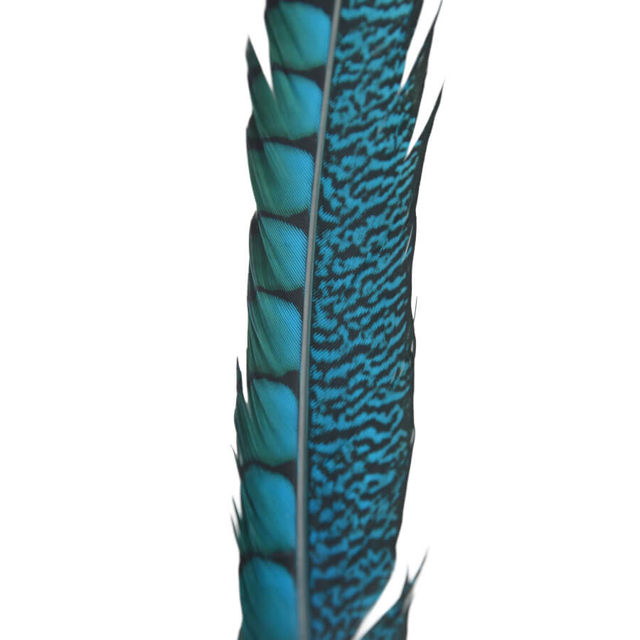 Pluma Faisán 10 unidades 60cm -varios colores - Imagen 19