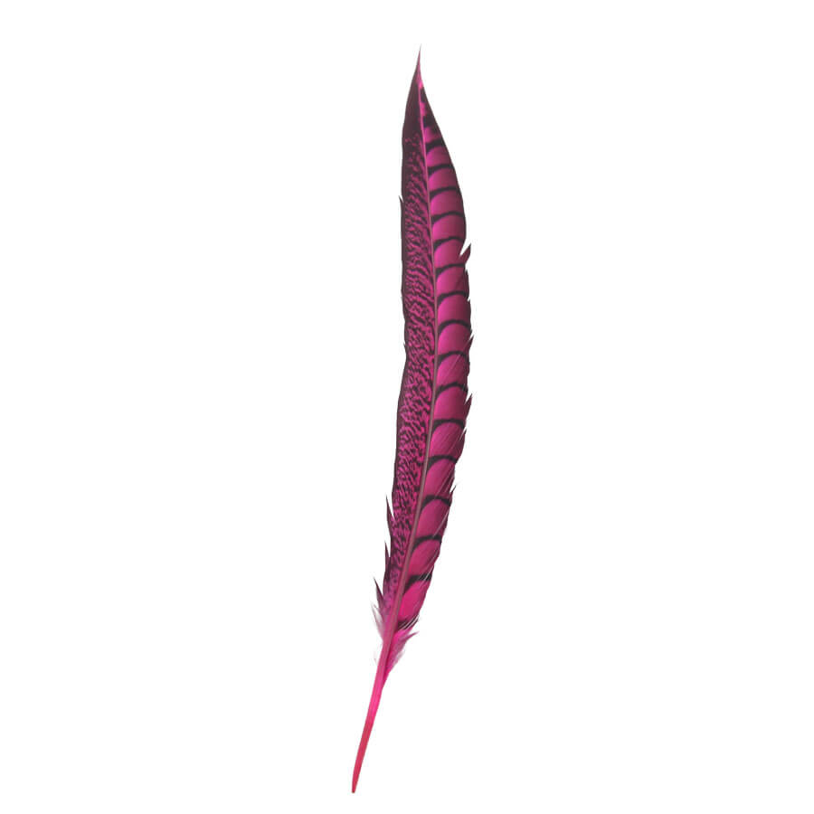 Pluma Faisán 10 unidades 60cm -varios colores - Imagen 8