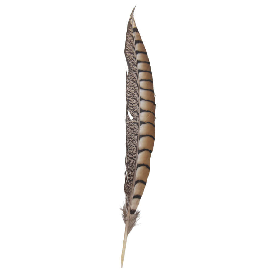Pluma Faisán 10 unidades 60cm -varios colores - Imagen 2