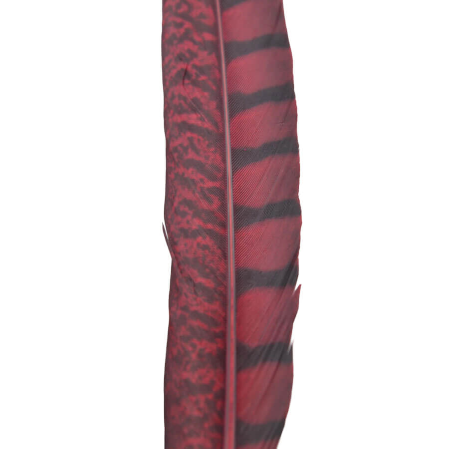 Pluma Faisán 10 unidades 60cm -varios colores - Imagen 15