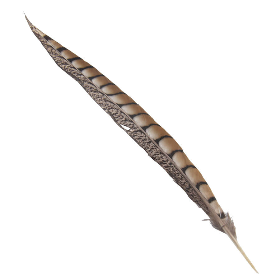 Pluma Faisán 10 unidades 60cm -varios colores - Imagen 3