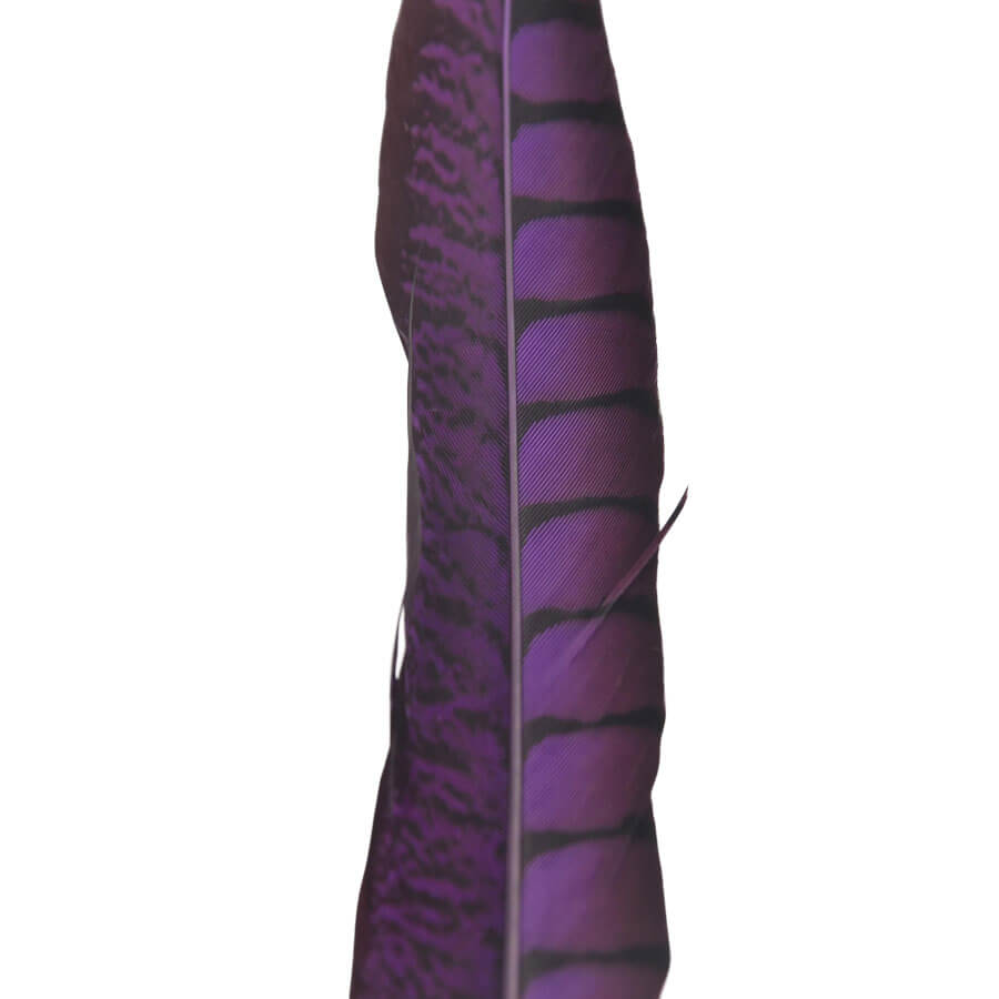 Pluma Faisán 10 unidades 60cm -varios colores - Imagen 25