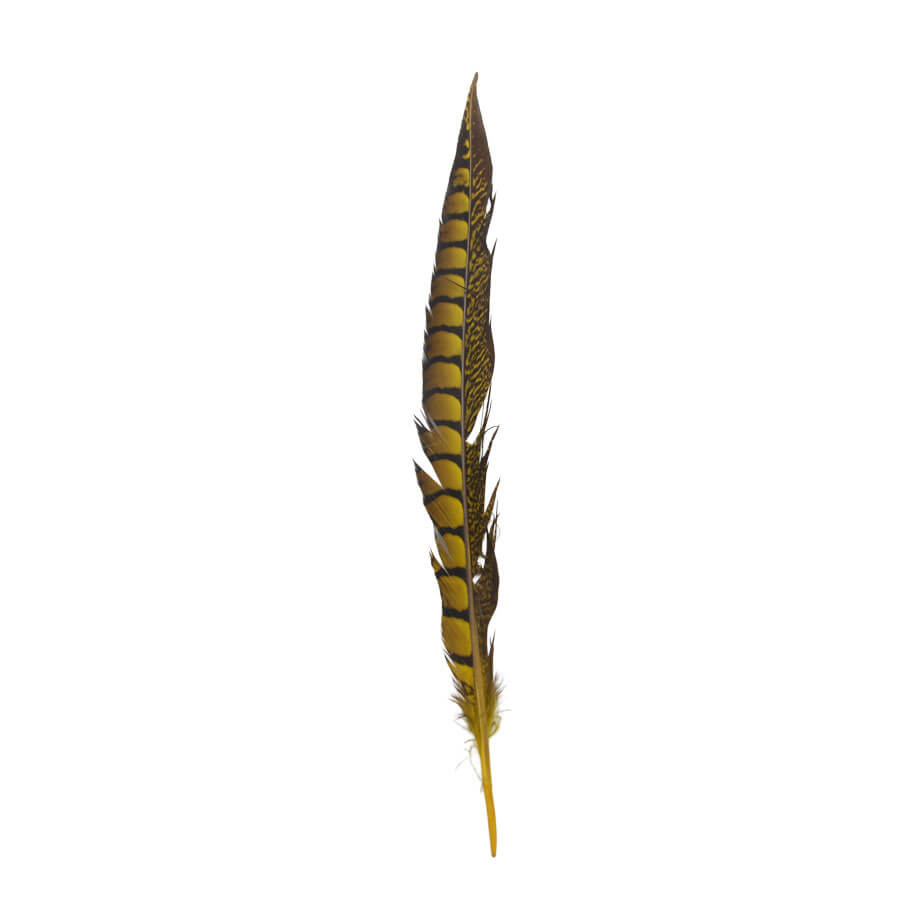 Pluma Faisán 10 unidades 60cm -varios colores - Imagen 5